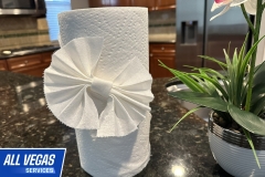 Paper Towel Design 1