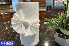 Folded Paper Towel Design