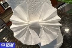 Folded Paper Towel Design  Closeup