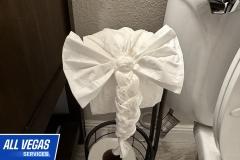 Toilet Paper Design 2